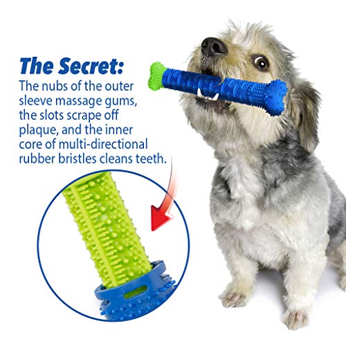 BulbHead Chewbrush Toothbrush and Toy - No Dog Toothpaste Required - Great Teeth Cleaning Toy (3 Pack) - size: 1 Count (Pack of 3)
