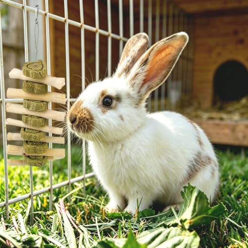 kathson Natural Bunny Toys for Rabbits,4 PCS Hanging Rabbit Chew Toys Treats with Timothy Hay Cakes & Sweet Bamboo Stick,Reduce Boredom,Keep Dental Health,Chewing Toys for Guinea Pigs Bunny Hamster - color: 【Style D】