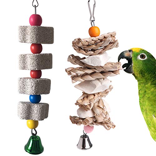 PINVNBY 2 Pack Parrot Toys Chewing Bird Toy Cuttlebone Beak Grinding Stone Cage Hanging Toys with Bell for African Greys Amazon Conure Eclectus Budgies Parakeet Cockatiel Hamster Chinchilla