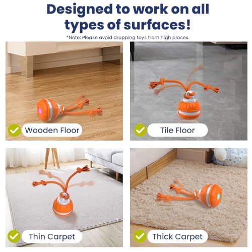 PAWSPIK Rope Runner Interactive Rechargeable Dog Ball Toy, Small