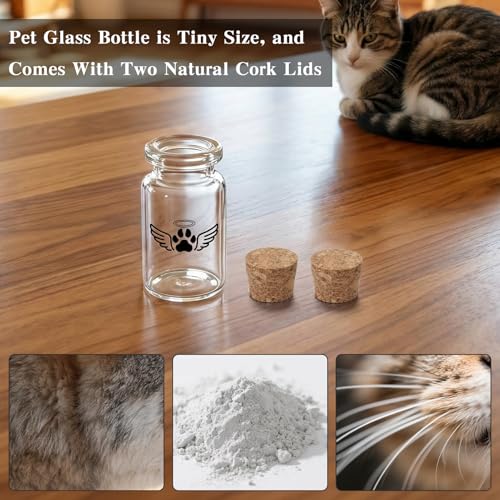 SOITIS Small Pet Urn for Dogs Cats Little Urn for Pets Ashes Keepsake - color: Black Paw