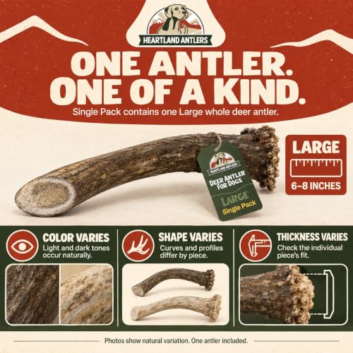 Heartland Antlers Whole Deer Antler Dog Chew for Aggressive Chewers - style: Large (Dogs 45-65 lbs)