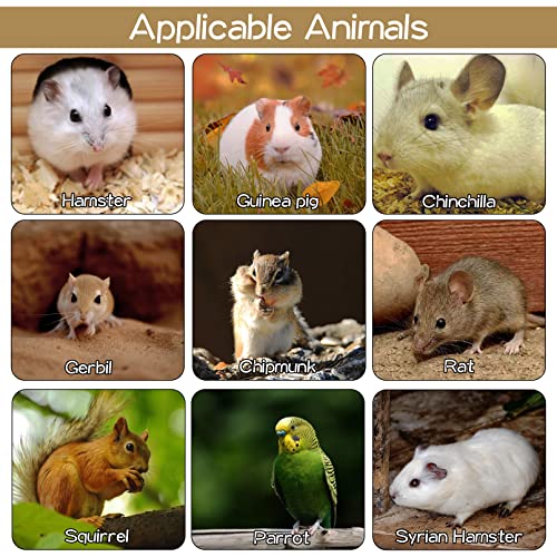 BNOSDM Hamster Cage Platform Wooden Chinchilla Ledges and Platforms 7Pcs