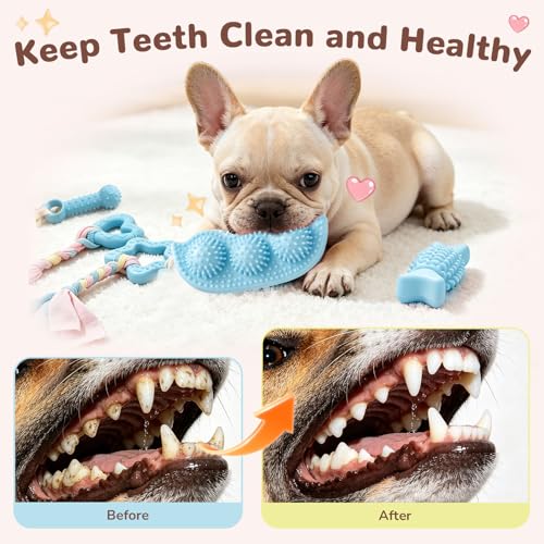 5 Pack Puppy Chew Toys for Small Dogs,Puppy Teething Toys for Small Puppies,Soft Rubber Dog Toys for Small Breed Interactive Chew Toys to Keep Them Busy (Blue) - color: Blue