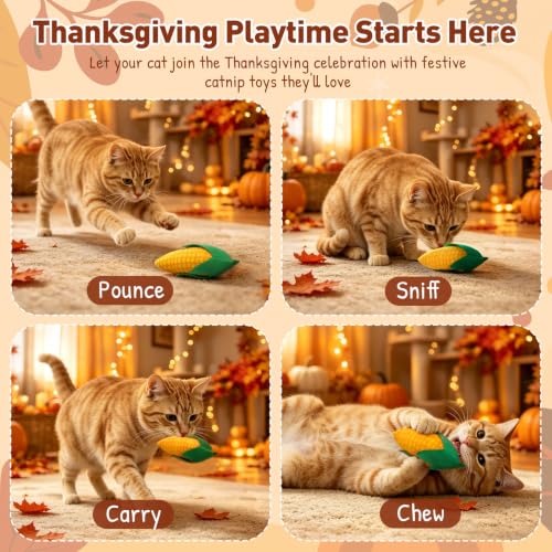 CiyvoLyeen Plush Thanksgiving Catnip Toys for Indoor Cats 6 Pack - color: Thanksgiving - 6Pcs
