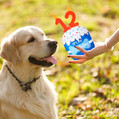 Dansydaisy Dog Birthday Cake Toy Squeaky Plush Gift,12th,Blue - color: Blue, style: 12th