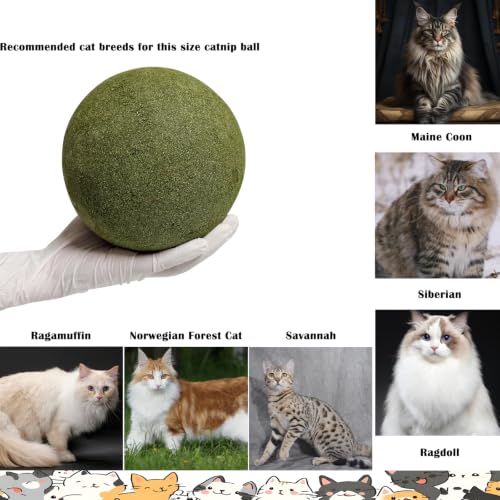 happylain 6 Inches Giant Catnip Ball - size: 6 INCH