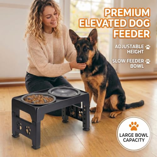 LALOBLUE Collapsible Dog Bowls Raised Elevated Adjust Stand