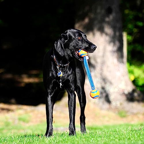 Chuckit! Ultra Duo Tug Toy, Small Indoor and Outdoor for Dogs 0-20 Pounds - size: Small, style: Ultra Duo Tug