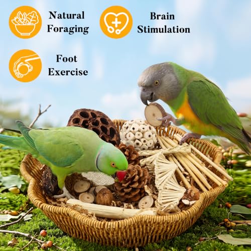 34Pcs African Grey Large Bird Foraging Toy Set with Hanging Basket - size: Size L for Large Birds