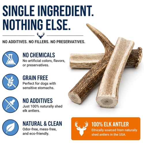K9warehouse Mixed Elk Antlers for Dogs, Split & Whole, Large 7 Pack, 1.5lbs