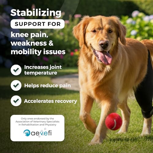 Ortocanis Dog Knee Brace for Hind Leg Support – (XXS, Right Leg) - size: Size XX-Small (7,5- 8,2 ")