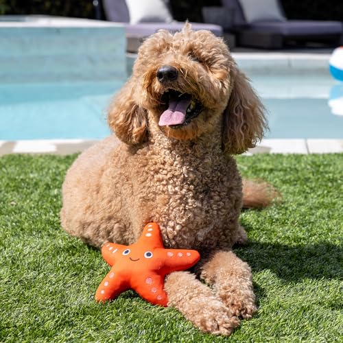 Fringe Studio Shelly Floating Dog Toys, Pet Shop Collection (640004) - color: Shelly