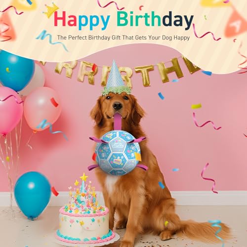 QDAN Dog Birthday Toys, Puppy Birthday Gifts, Dog Soccer Ball with Straps - color: Birthday Blue, size: Large Size 3 (8 Inch)