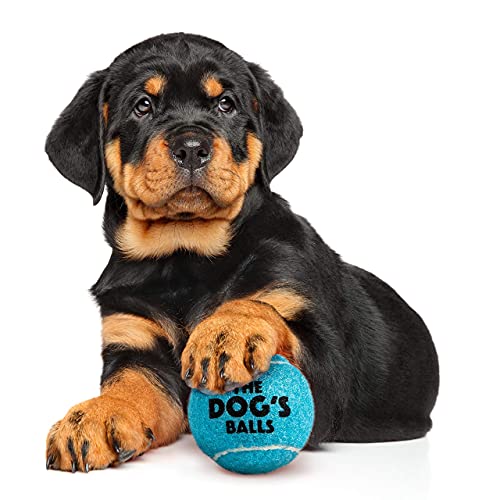 The Little Dog’s Balls Small Dog Tennis Balls 6-Pack Blue Floats in Water - color: Blue, size: 6 Small Tennis Balls