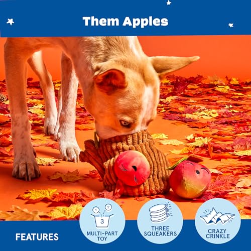 BarkBox Them Apples 3-in-1 Interactive Plush Dog Toy - color: Them Apples