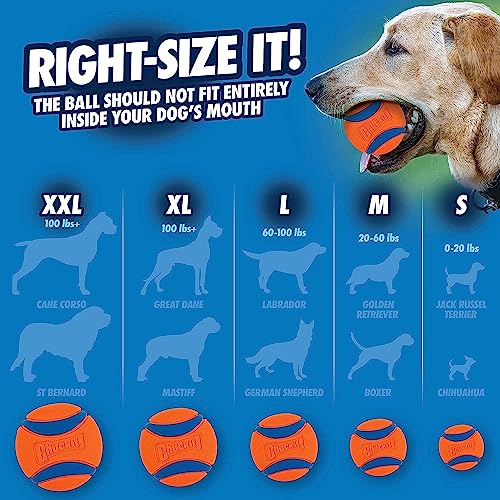 Chuckit! Ultra Tug Dog Toy - Ultra Ball on a Durable Nylon Cord Handle - Fetch and Tug-of-War Toy for Dogs - for Breeds 60-100 lbs - 3-inch Diameter - Orange and Blue Large (Pack of 12) - size: Large (Pack of 12), style: Ultra Tug