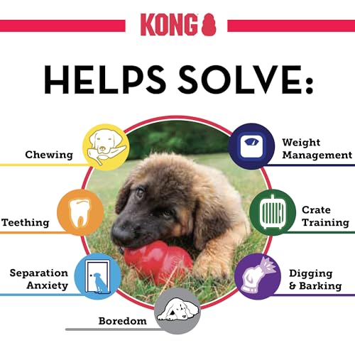 KONG Classic Toy and Easy Treat Peanut Butter Spray, 14 oz, Small Dogs