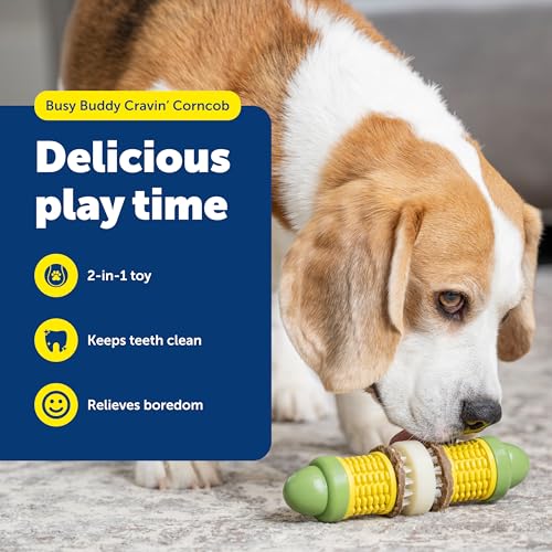 PetSafe Busy Buddy Cravin Corncob Treat Holding Dog Toy, Small/Medium - size: Small/Medium