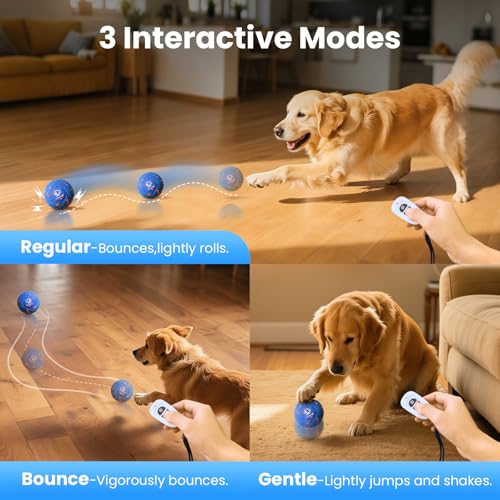 IPX7 Waterproof, Smart Chase Pet Toy Ball for Medium and Large Dogs