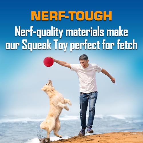 Nerf Dog Classic Squeak Ball Outdoor Dog Toy, 3.8 Inch Dog Ball Fetch Toy, Squeaking Toy for Medium and Large Breeds, Green/Red, 2 Count - color: Green/Red, size: 1 Count (Pack of 2), style: 2-Pack