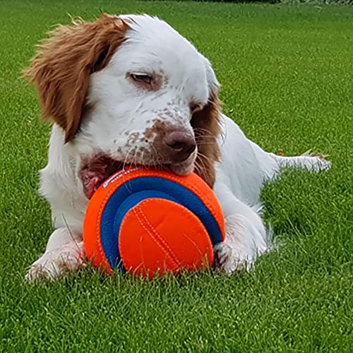 Chuckit! Kick Fetch Ball Dog Toy - Floats in Water - Perfect for Interactive Play - Made with Durable Rubber and Foam - for Large Dogs - Size Large - 8-inch Diameter - 1 Count (Pack of 4) - size: Large (Pack of 4), style: Classic