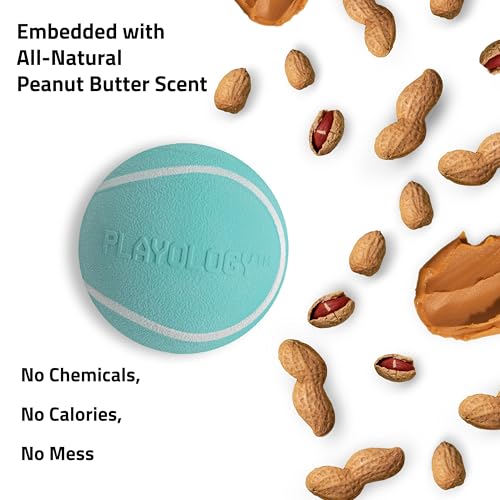 Playology Squeaky Chew Ball Dog Toy - Medium, Peanut Butter Scent - size: Medium, style: Peanut Butter