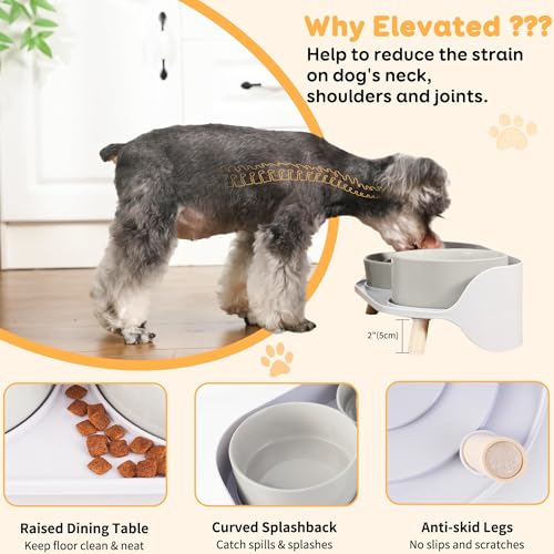 Elevated Slow Feeder Dog Bowls with Splash Proof Stand, Slow Eating 5X - color: Grey
