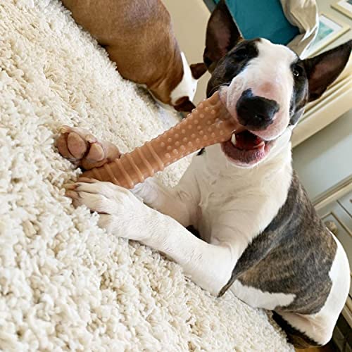 Nylabone Power Chew Textured Knuckle Bone Dog Chew Toys, X-Large, 2 Count - size: X-Large