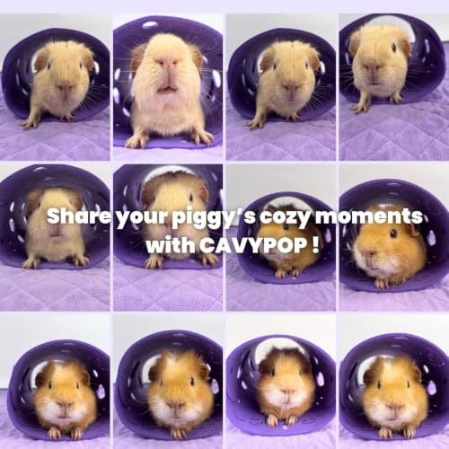 Guinea Pig Tunnel, Washable Felt Hideout, Cavyhead Design，Purple - color: Purple