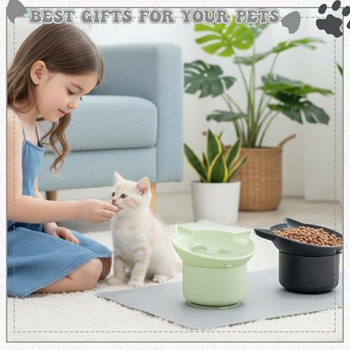 2 Pack Slow Feeder Cat Bowls Silicone Tilted Raised Pet Bowl - color: Black, Green