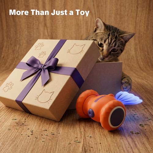 Interactive Cat Toys, Puppy Dog Toys - color: Orange