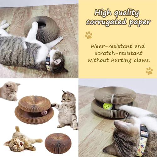 Kitty Curlz Magic Organ Cat Scratching Board