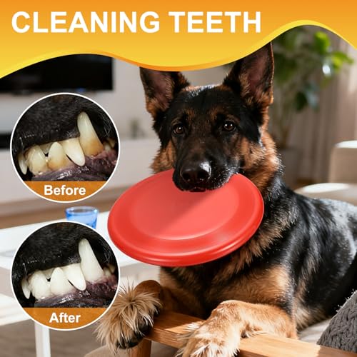 Dog Flying Discs, Dog Flying Discs Resistant Bite, 4.6" 2Pcs - color: Blue, size: 5 Inches