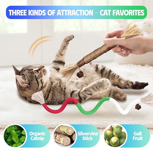 Silvervine Sticks Cat Chew Toys for Indoor Cats Dental Care Teeth Cleaning, Natural Kitten & Cat Teething Toys for Health, Catnip Toys Cat Chew Rope Suitable for All Breeds of Aggressive Chewers Cat - size: 1Pcs Chew Rope+1Pcs Silvervine Sticks