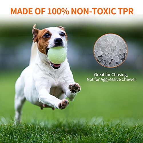 SKIPDAWG Interactive Dog Glow Balls, Rubber Balls Light Up in the Dark, Dog Toys Squeaky Ball Durable TPR Light Weight, Bouncy Glowing Ball Size 2.5 Inches, 2 Pack