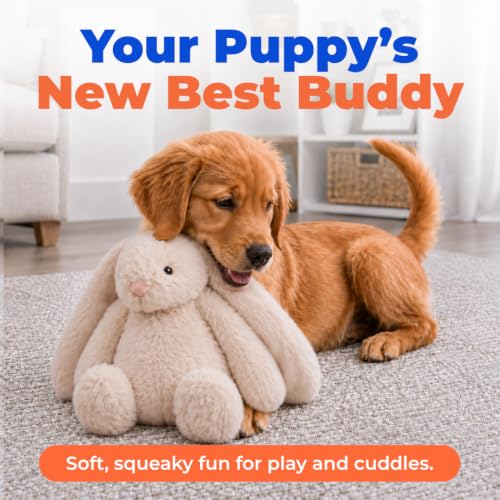 Best Pet Supplies Bunny Buddy Squeaky Plush Dog Toy - Beige, Small - color: Bunny (Beige), size: Small