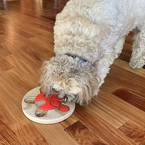 PetRageous 13006 Thinkrageous Interactive Advanced Level Puzzle Piece Dog Toy or Cat Toy Measures 9.84-Inch for Dogs and Cats or Kittens and Ages, Red