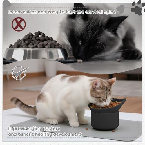 2 Pack Elevated Slow Feeder Cat Bowls Anti Vomit Tilted Raised Cat Bowls - color: Black, Green