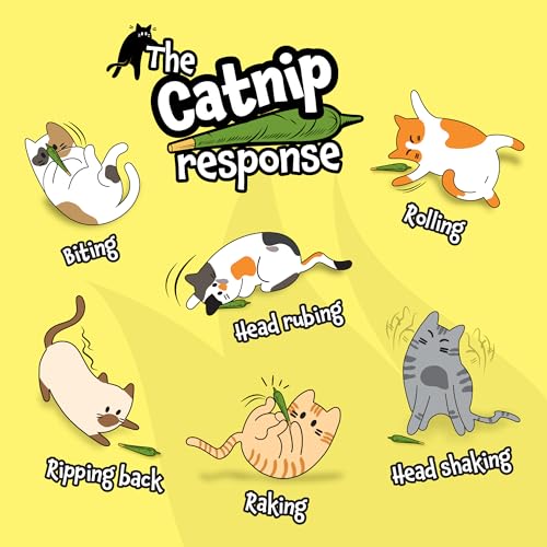 LIT LABS Catnip Joint - 5 Organic Pre-Rolls Papers to Fix a Bad Cattitude - Funny Cat Toy for Indoor Cats with Existential Dread