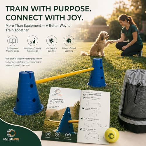 Dog Agility Equipment, 12-Inch Hurdle Set, 11.5 oz Weighted Cones - size: 12-Inch-Blue