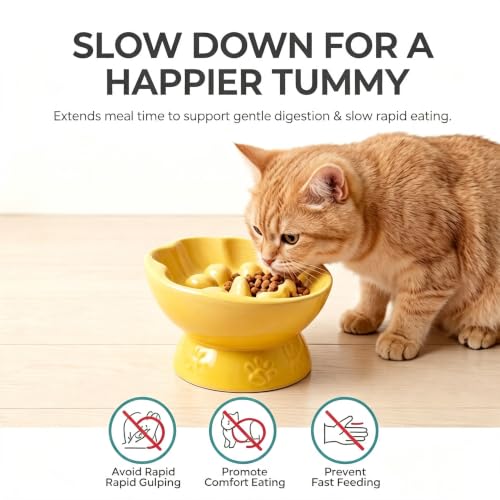 Ceramic Slow Feeder Cat Bowl, Elevated Tilted Design, Yellow - color: yellow