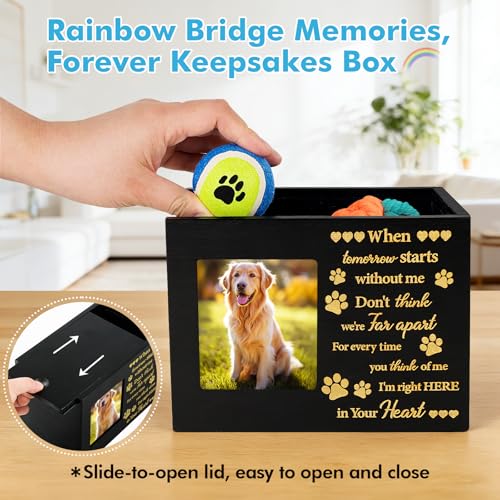 Rainbow Bridge Pet Memorial Gifts LED Light Dog Cat Urns with Photo Frame
