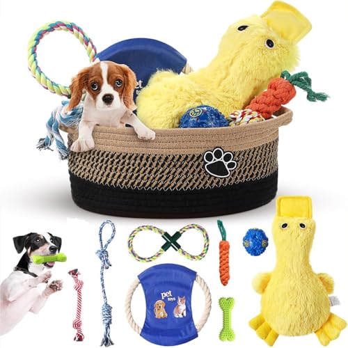 Zopeal Dog Toy Gift Basket Set for Puppy Birthday, Black - color: Black