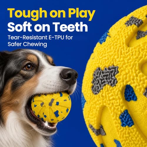 Dog Ball