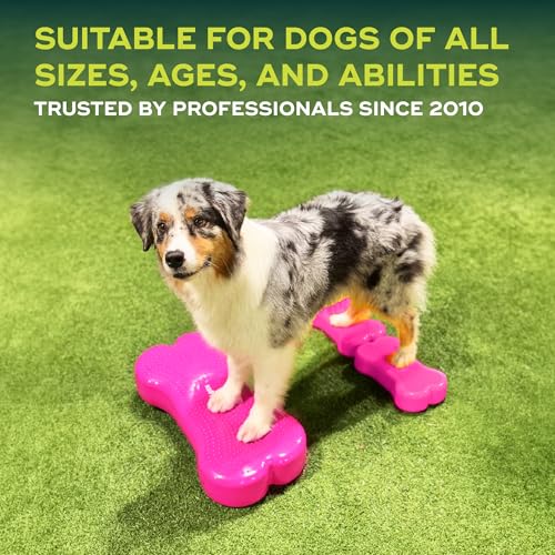 FitPaws® K9FITbone® Dog Balance Platform, Exercise Equipment, Razzleberry - color: Razzleberry
