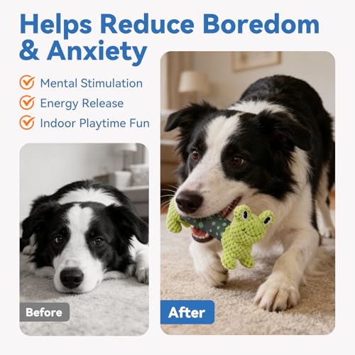 Squeaky Dog Toys for Small & Medium Dogs, Lion Rabbit Frog 3-Pack - color: Frog & Lion & Pig