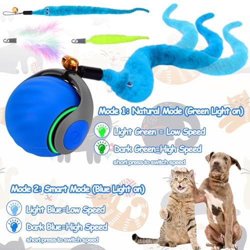 Mity rain Interactive Cat Toy Ball, Rechargeable Cat Toys for Indoor Cats - color: Blue