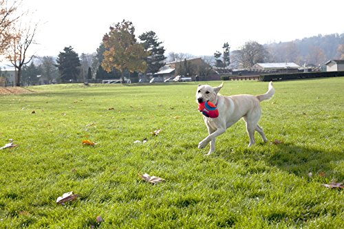 Chuckit! Fumble Fetch Dog Football - Outdoor and Indoor Interactive Dog Toy with Grooved Design for Easy Pickup - Made from Durable Rubber - Floats in Water - Small - Orange and Blue (Pack of 6) - size: Small (Pack of 6), style: Orange/Blue