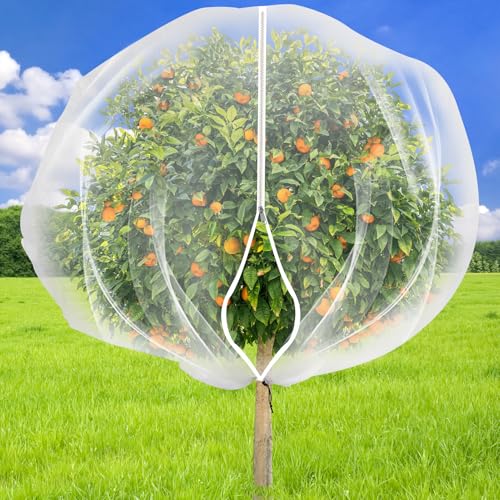 1 Pack 9.8 x 9.8 ft Fruit Tree Netting Covers with Zipper and Drawstring - size: 9.8 x 9.8FT/1Pack